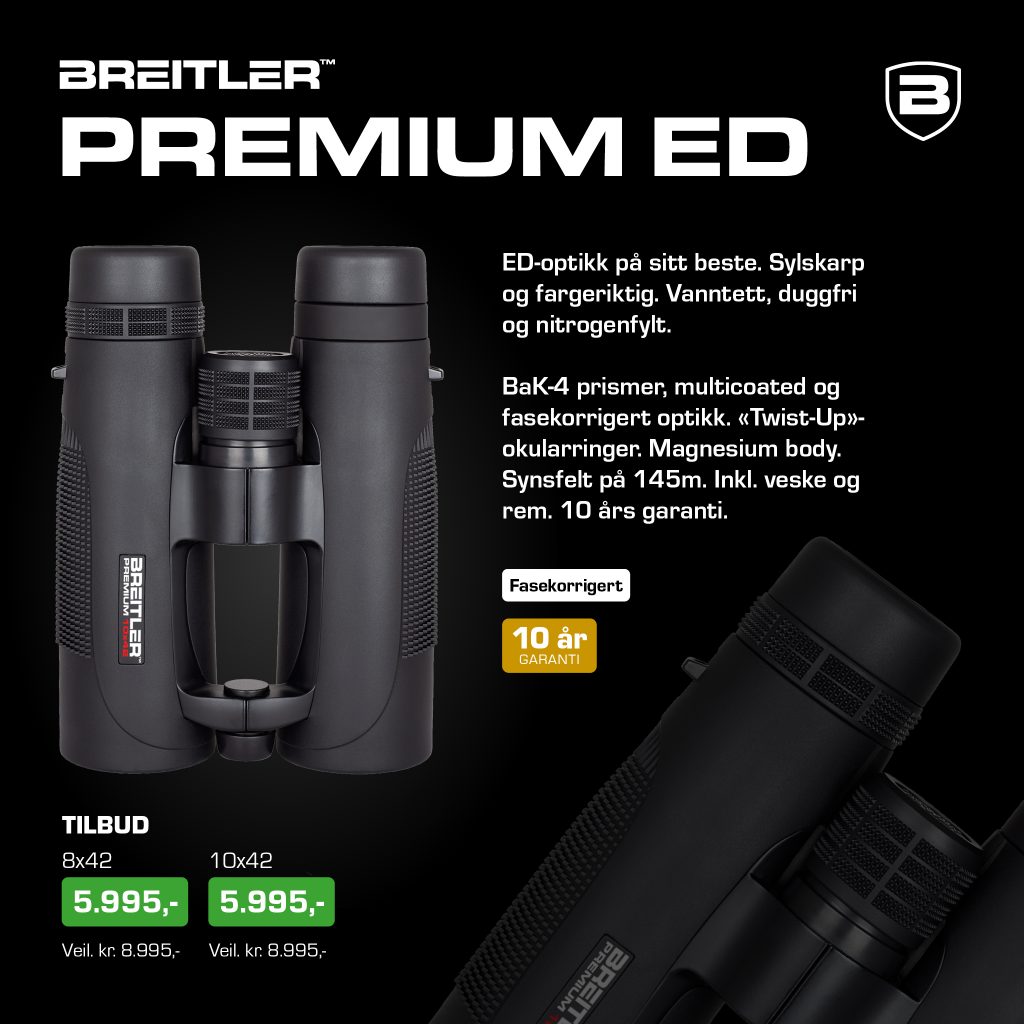 Kikkert: Breitler Premium ED